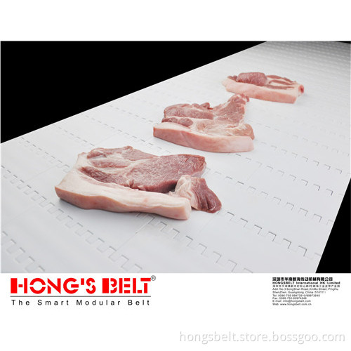 Food Industry Meat Industry Modular Conveyor Belt